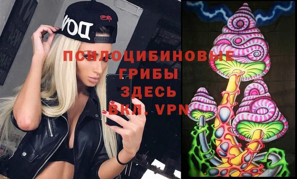 винт Алексеевка