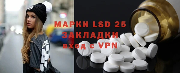apvp Алзамай