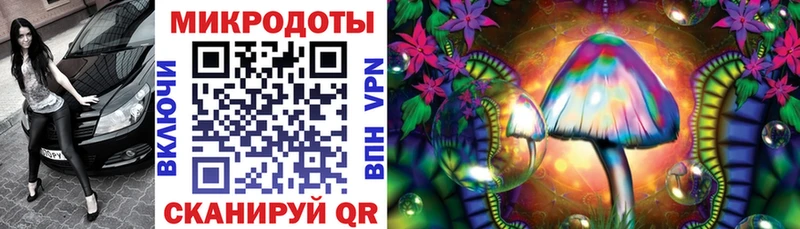 что такое   Глазов  Псилоцибиновые грибы Magic Shrooms 